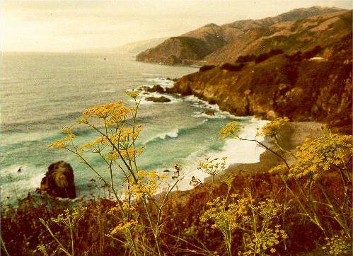 California coast south of San Francisco