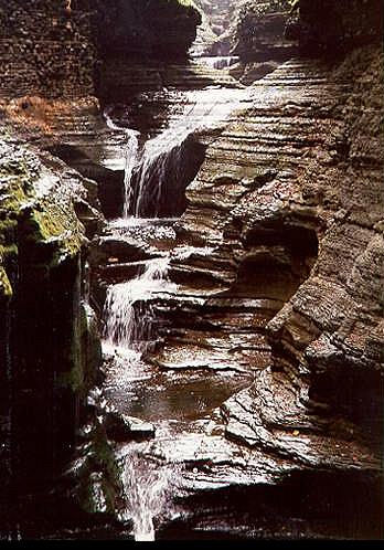 Watkins Glen