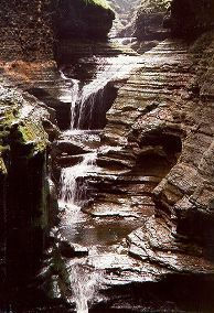 Watkins Glen