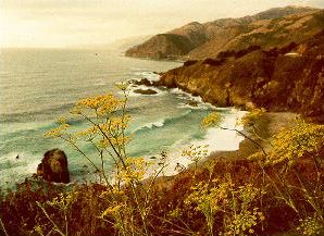 Coastline south of San Francisco